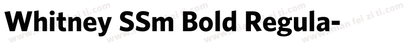 Whitney SSm Bold Regula字体转换